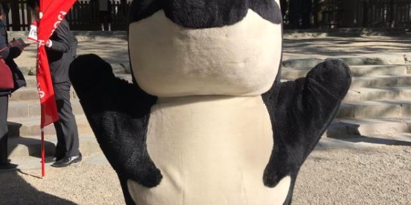 星空体育官网-联赛开幕前搞点仪式感?中超队爬山 日本球队拜神